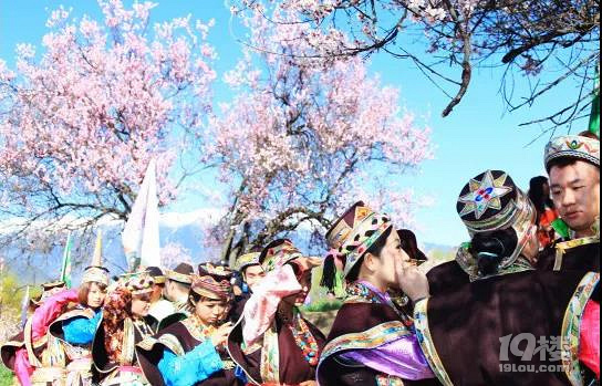 3.22-4.1林芝桃花/金川梨花/拉萨，一起寻觅初春