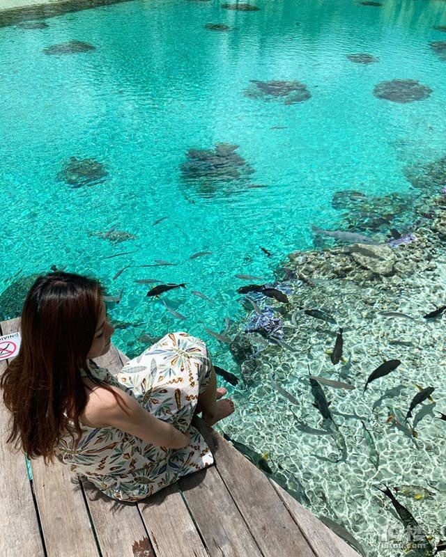 梦幻的海岛五彩斑斓的大溪地