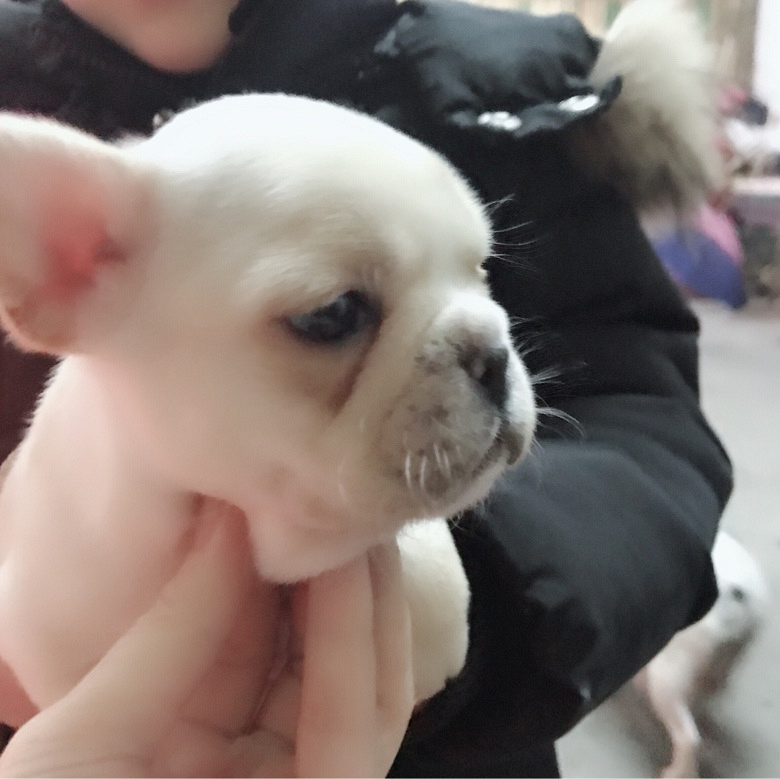 ���з�ţ����һ�� ����Ȥ��ϵ��