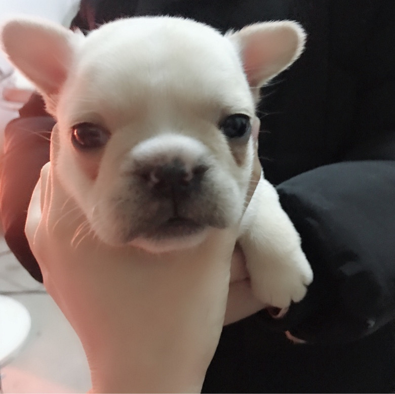 ���з�ţ����һ�� ����Ȥ��ϵ��