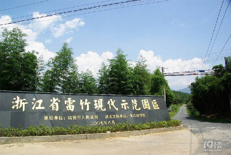 2019年浙江杭州市臨安雷竹筍主產地最新行情批發(fā)價格區(qū)間預測