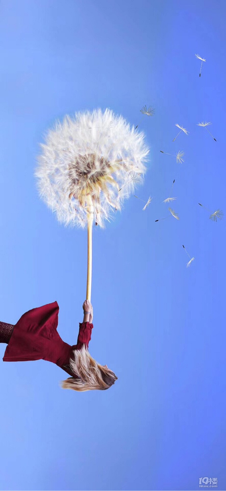 生命本来就是一场情理之中的意外