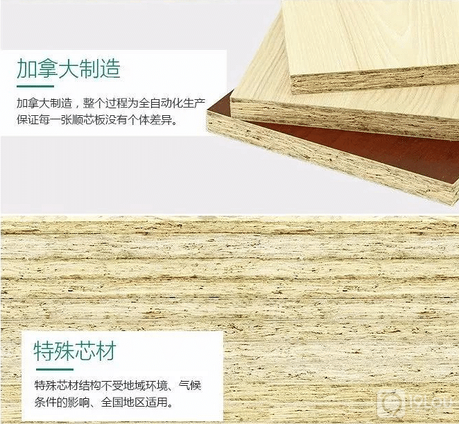科技造木,健康造家——兔宝宝即将闪耀上海建博会