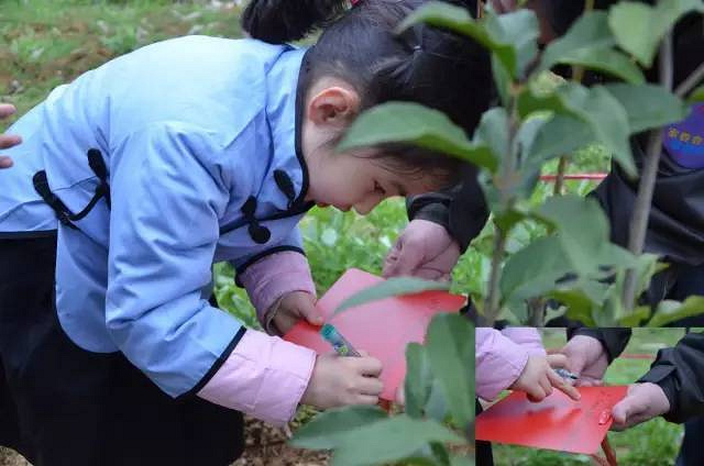 莫干山植树节(2018年第三届)