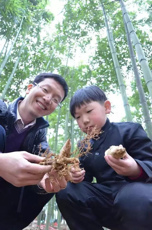 莫干山植树节(2018年第三届)