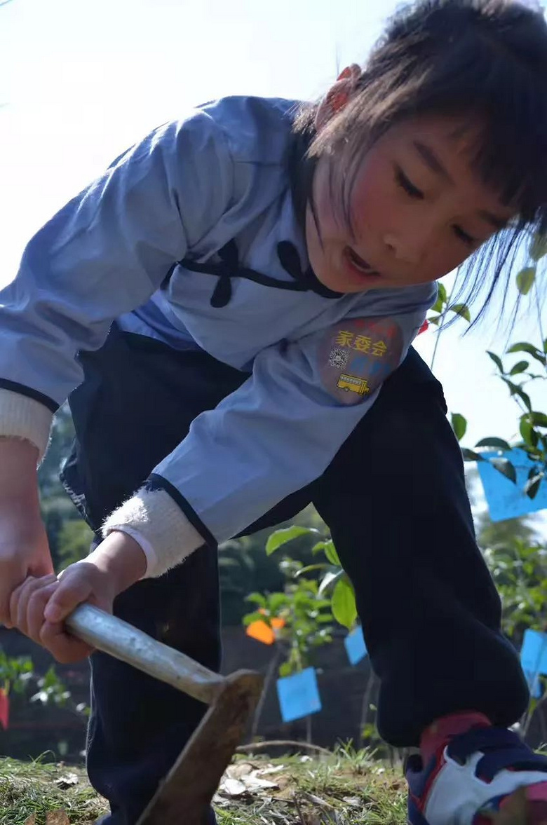 莫干山植树节(2018年第三届)