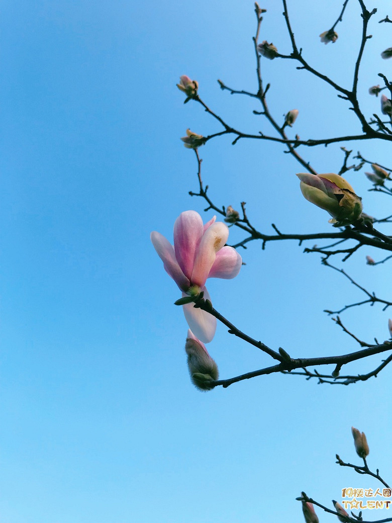 雨终于告一段落了