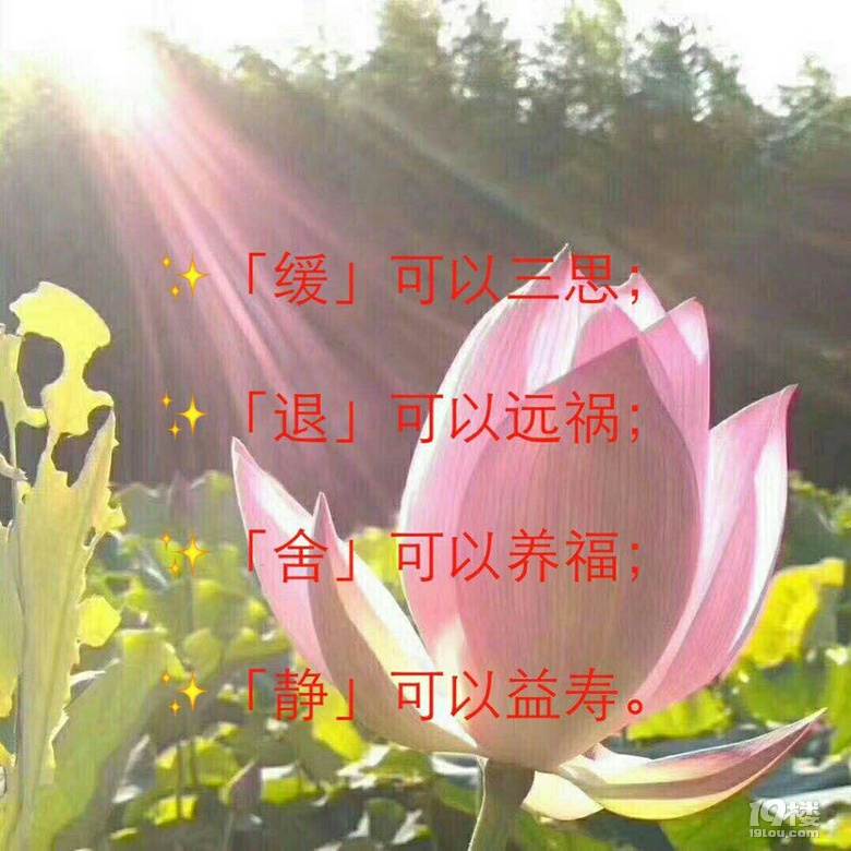 一生都没有自己的规划,没有规划的人生,那