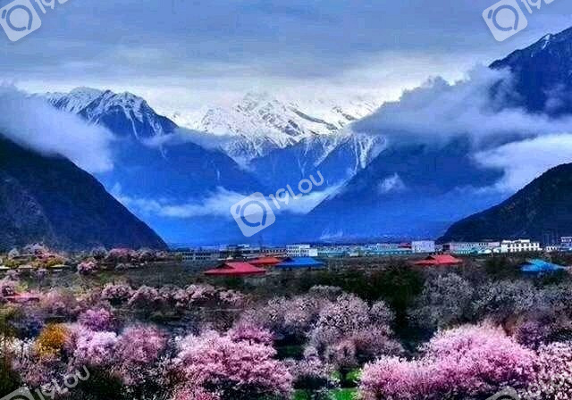4月8号成都出发西藏拉萨自驾漩，有人一起去的吗？