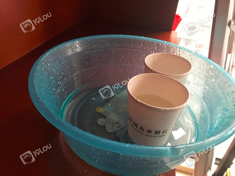 发疯了,换作你会怎么做?