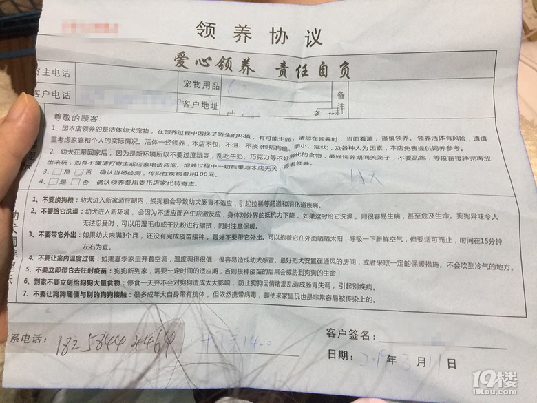买卖病狗的“老赖”搬到杭州了大家注意!