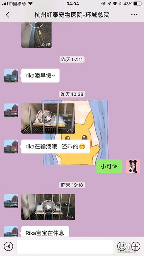 买卖病狗的“老赖”搬到杭州了大家注意!