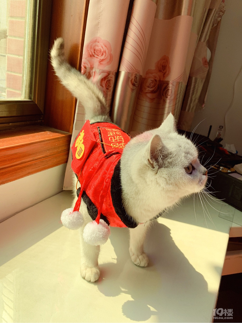用45度角仰望天空！这是欢喜之泪吗？！