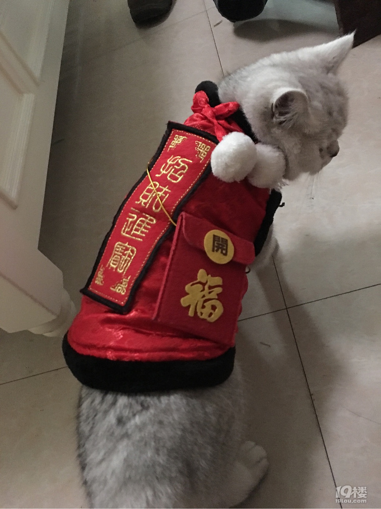用45度角仰望天空！这是欢喜之泪吗？！