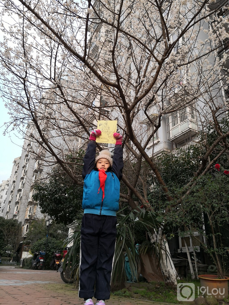 【不負(fù)好春光】紀(jì)念杭州短暫的春天