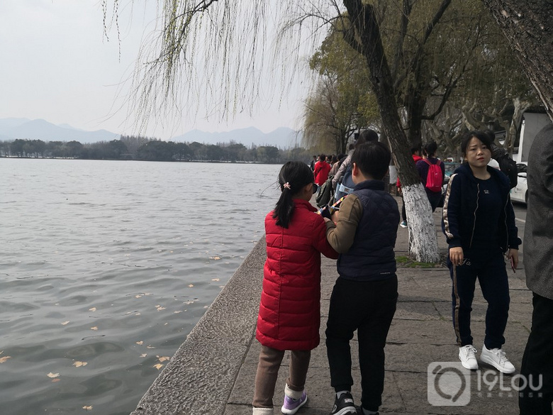 【不負(fù)好春光】紀(jì)念杭州短暫的春天