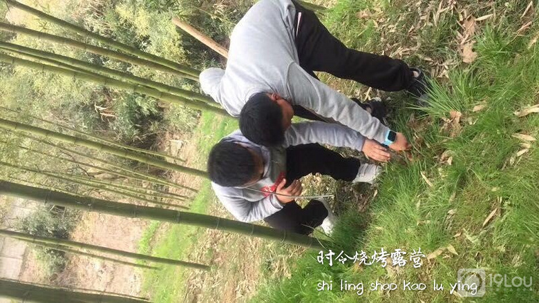 周末活动