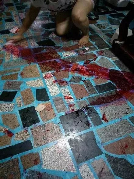 半夜被惊醒,发现二哈浑身是血,跟小偷搏斗?知道真相后气疯了!