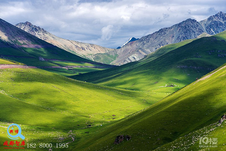 都智库舆情大数据带你正确了解新疆旅游景点地