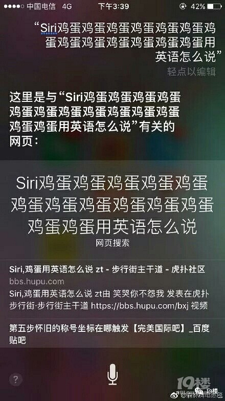 嘿,siri,鸡蛋用英语怎么说?哈哈哈哈