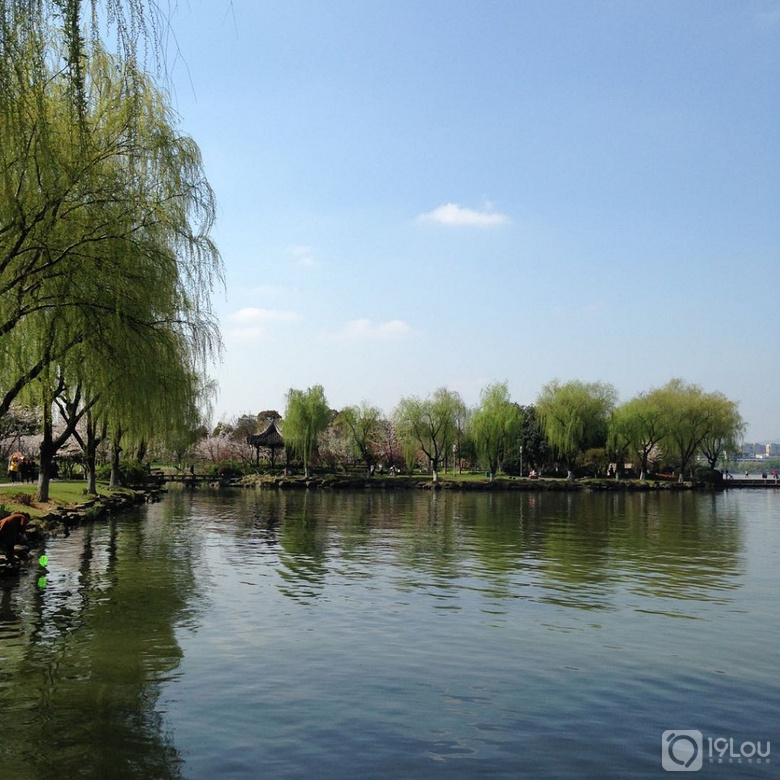 阳光明媚的一天