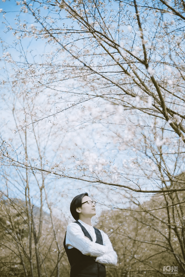 春风十里