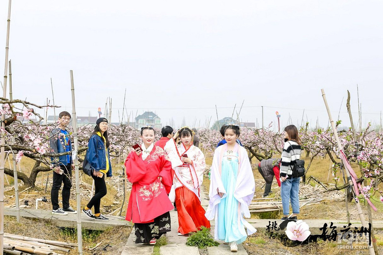 嘉興舉辦2019第二屆中國(guó)鄉(xiāng)村美好生活發(fā)展高峰論壇