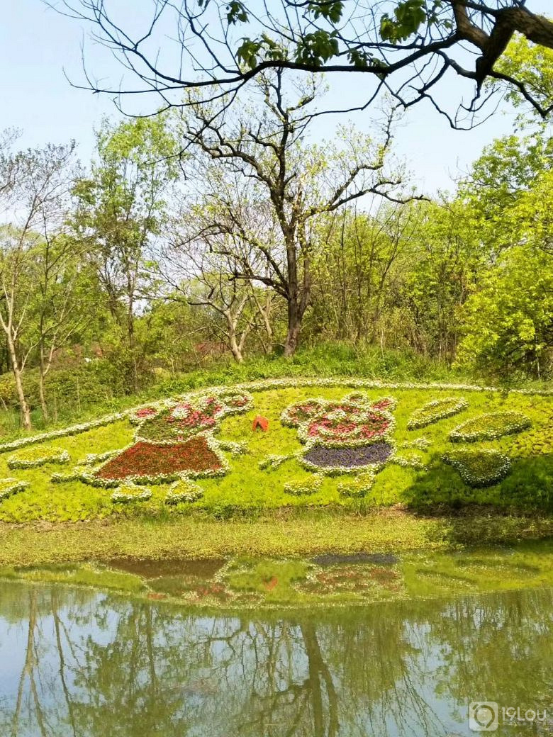 ŏD