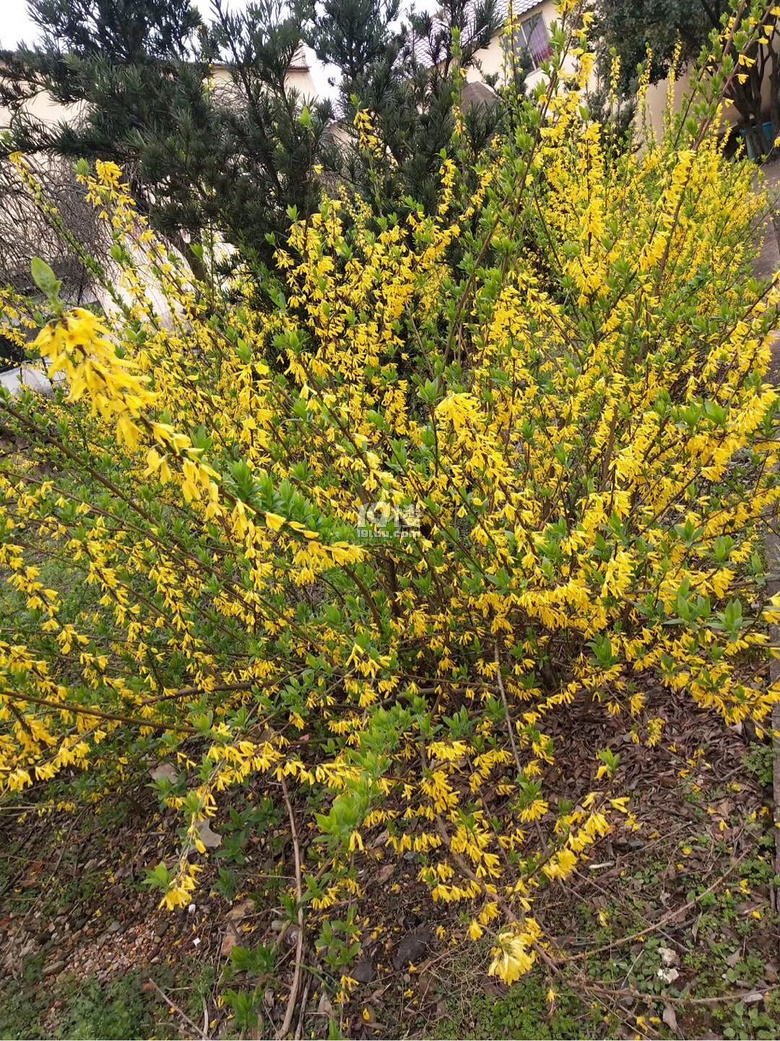 今天天气不错的,新版本测试