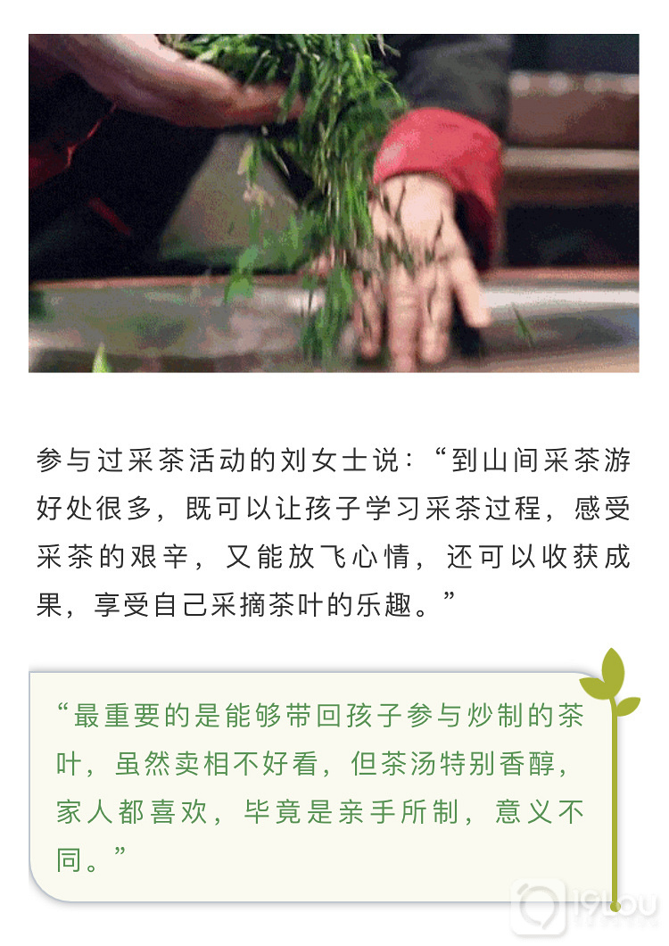 【亲子互动】火爆精英阶层的亲子采茶活动，我们邀请您来！