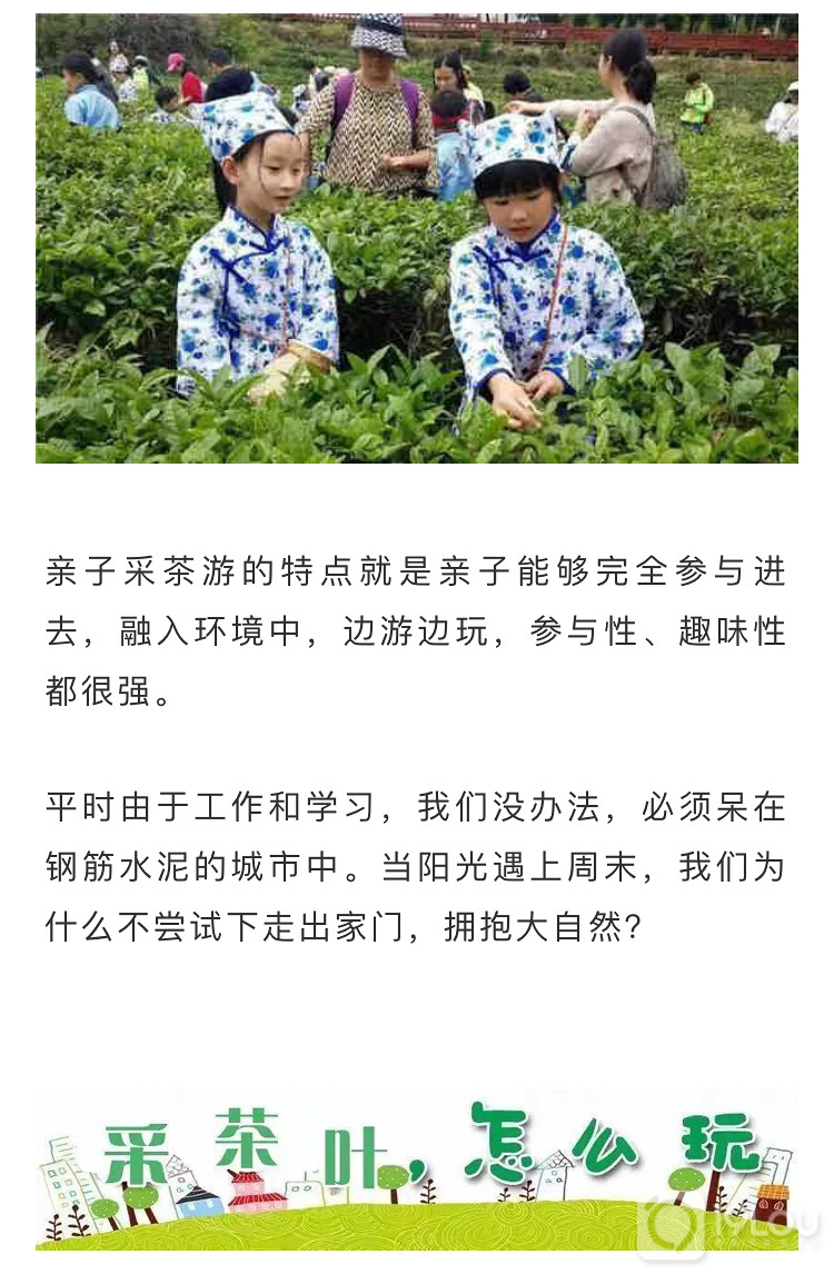 【亲子互动】火爆精英阶层的亲子采茶活动，我们邀请您来！