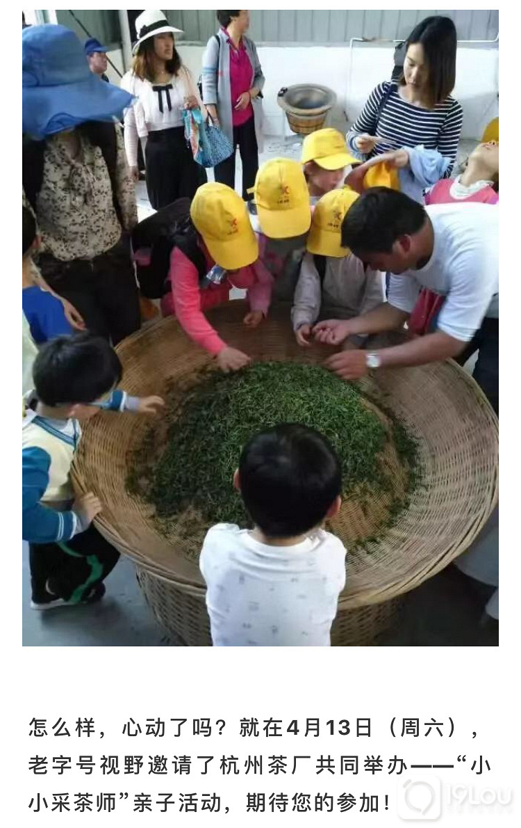 【亲子互动】火爆精英阶层的亲子采茶活动，我们邀请您来！