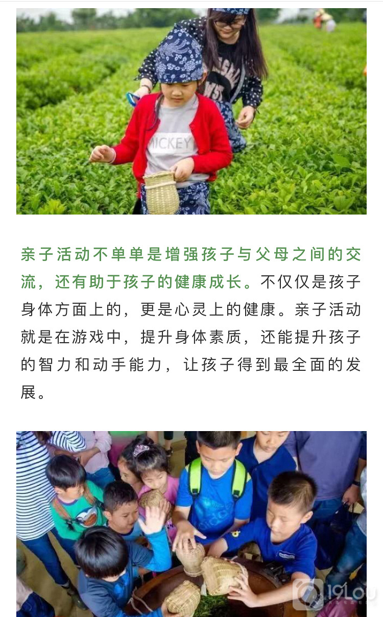 【亲子互动】火爆精英阶层的亲子采茶活动，我们邀请您来！