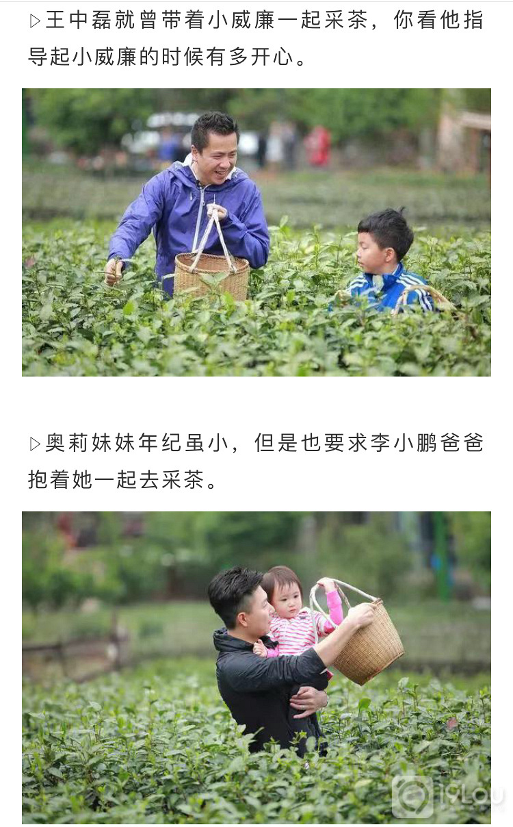【亲子互动】火爆精英阶层的亲子采茶活动，我们邀请您来！