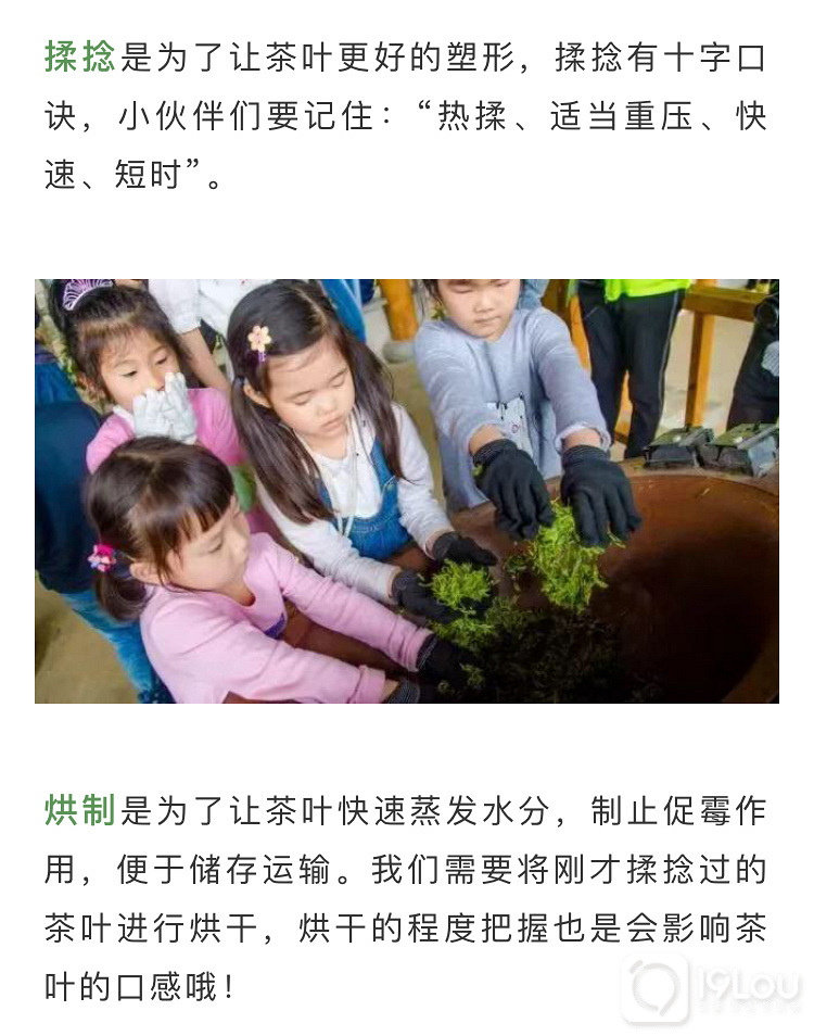 【亲子互动】火爆精英阶层的亲子采茶活动，我们邀请您来！