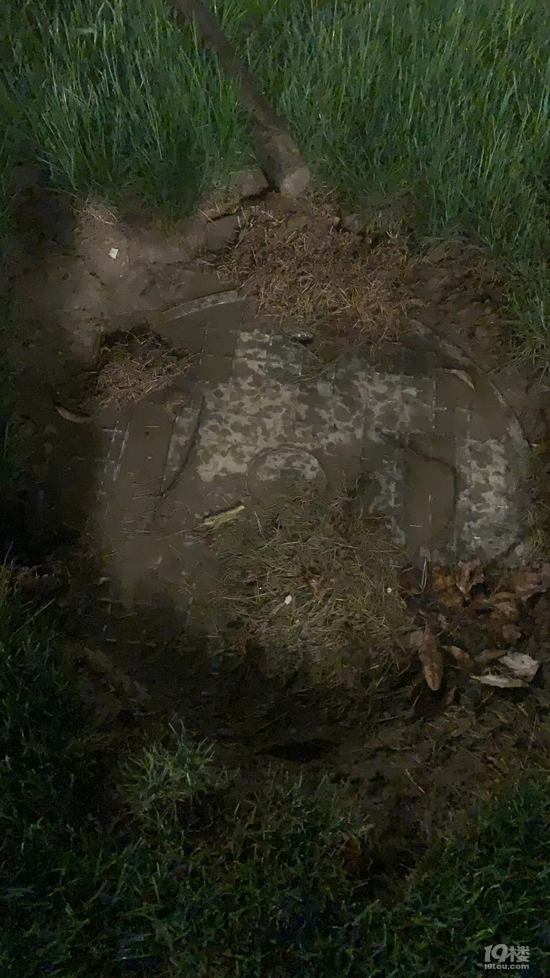 真是难得一见,你说说这样能活吗?