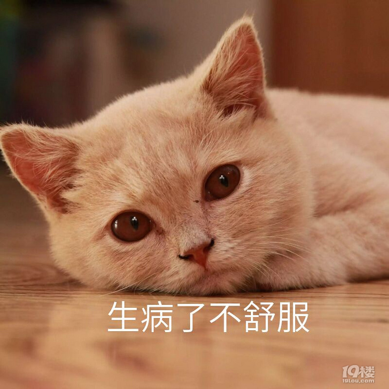 一位澳洲留學(xué)生因生病退學(xué)本科未畢業(yè)成功逆襲申請(qǐng)碩士的故事