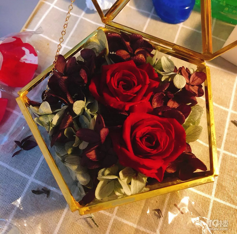 真的是绝了£¡这个颜值不到百元的小物竟成了最大亮点£¡