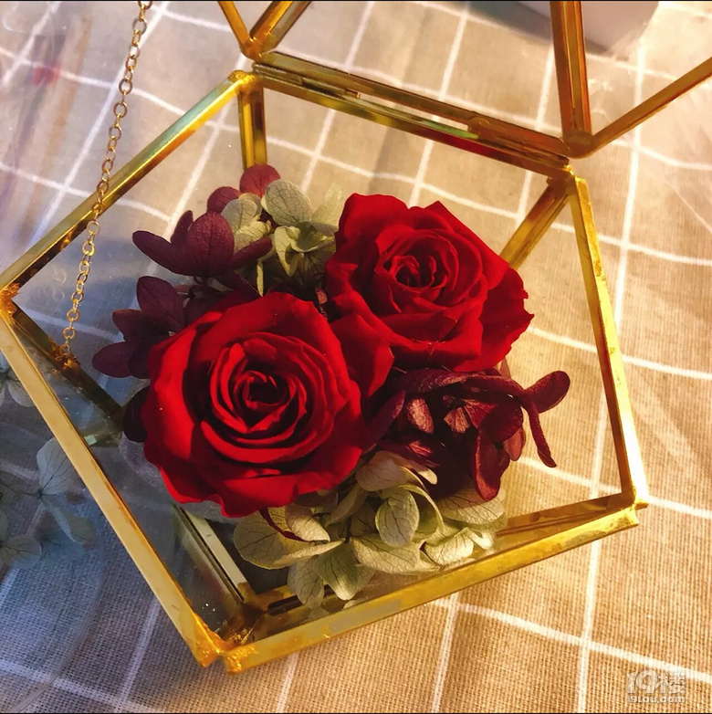 真的是绝了£¡这个颜值不到百元的小物竟成了最大亮点£¡
