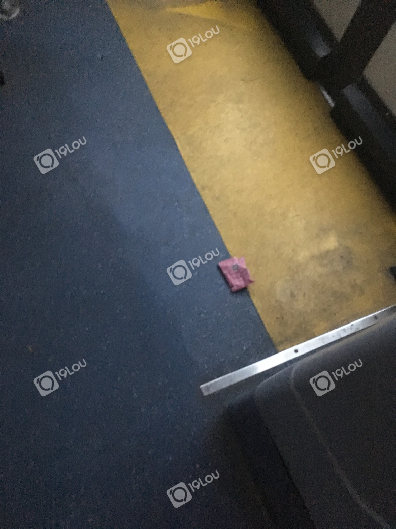 昨天39路车上司机乱扔垃圾