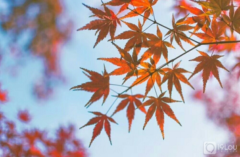 ŏDʮ