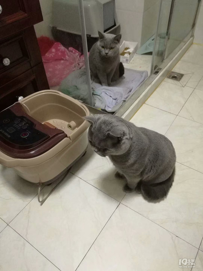 Ҽ{؈һCС؈ôЃɷNɫ