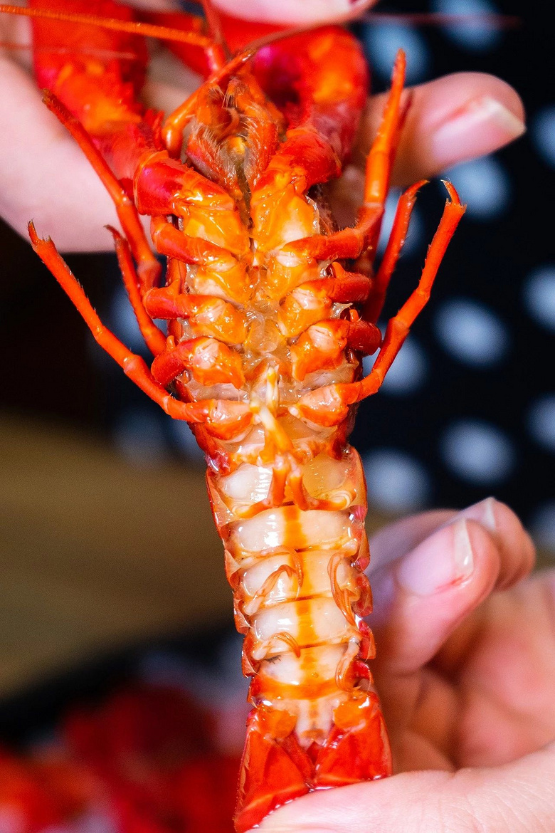 每只小龙虾都是腮白柔嫩,虾膏满满!