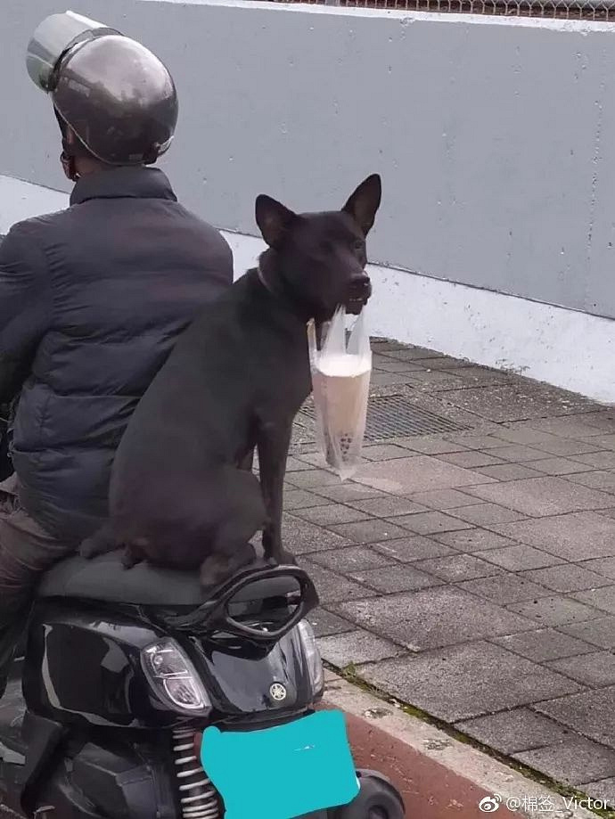 哈哈哈哈!这些迷惑行为真的笑到我满地找牙!