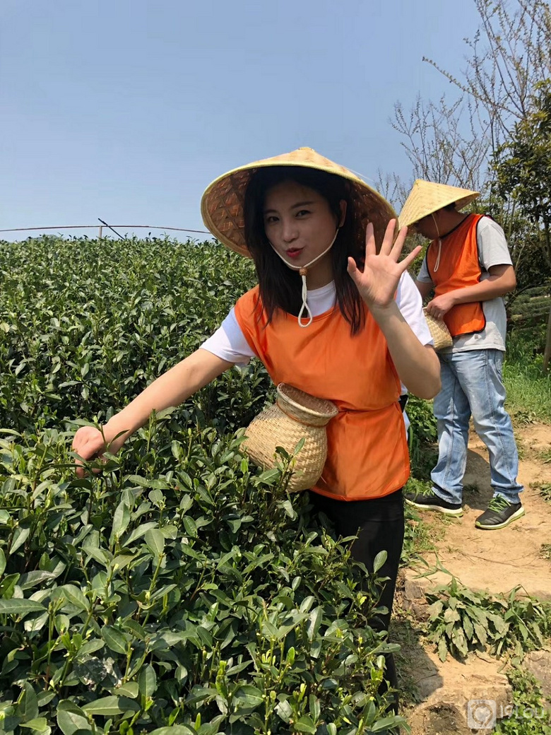 茶源谷一天户外踏青采茶休闲路线推荐