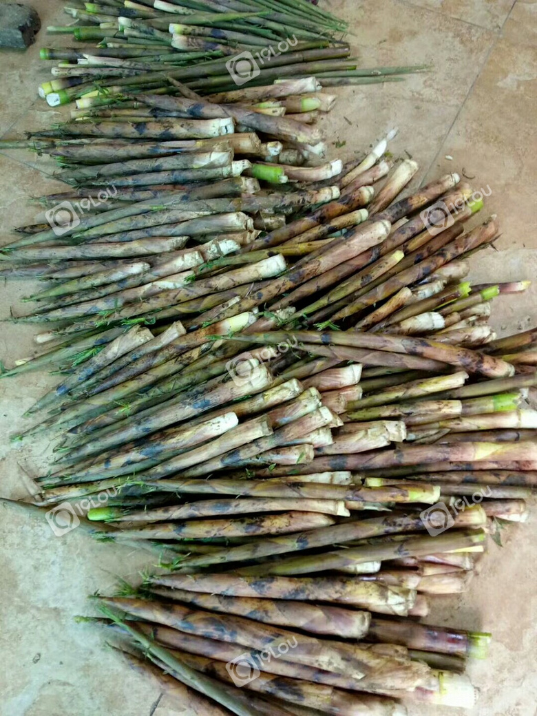 正宗野生石笋干纯手工制做炭火烘烤无