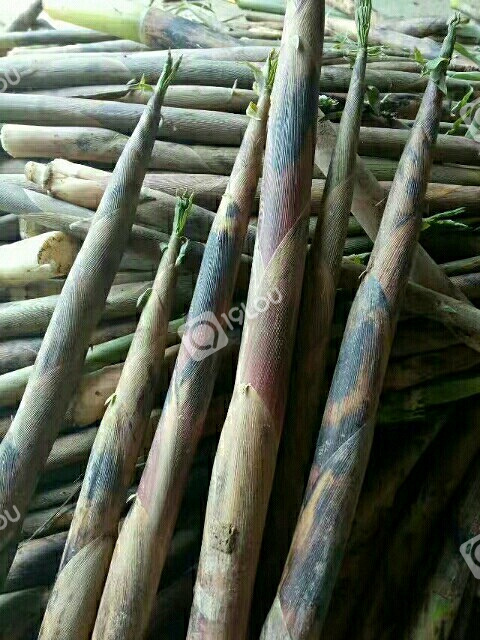 正宗野生石笋干纯手工制做炭火烘烤无