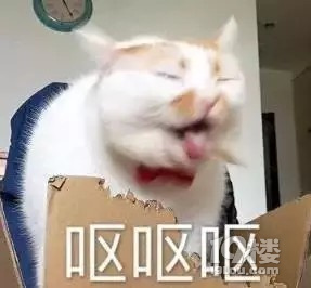 一夜之间车子变成这样!杭州小伙早起一看被恶心到了