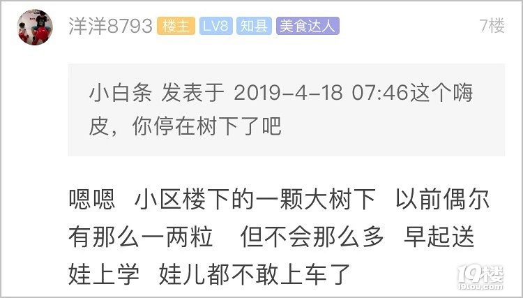 一夜之间车子变成这样!杭州小伙早起一看被恶心到了