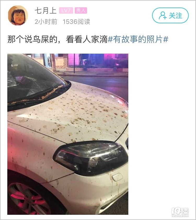 一夜之间车子变成这样!杭州小伙早起一看被恶心到了